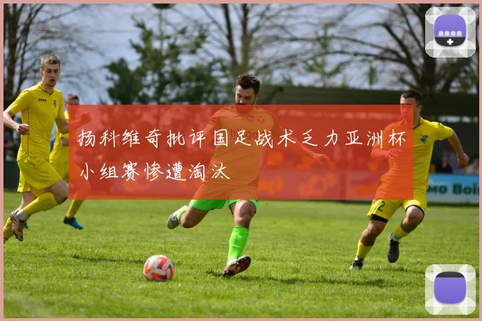 扬科维奇批评国足战术乏力亚洲杯小组赛惨遭淘汰