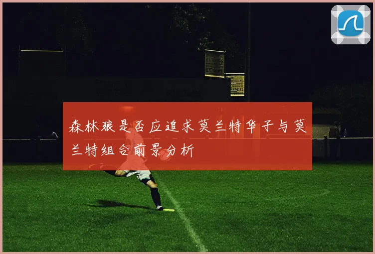 森林狼是否应追求莫兰特华子与莫兰特组合前景分析