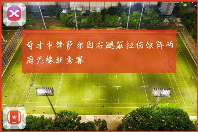 奇才中锋萨尔因右腿筋拉伤缺阵两周无缘新秀赛